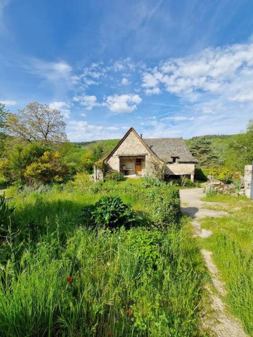 Ferienhaus Le Puy D'aubrac